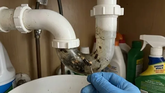 Blue-gloved hand pulling debris from a clogged white P-trap under a sink beside cleaning bottles