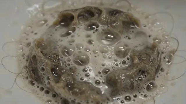 Close view of a drain strainer covered with hair and brown soap foam