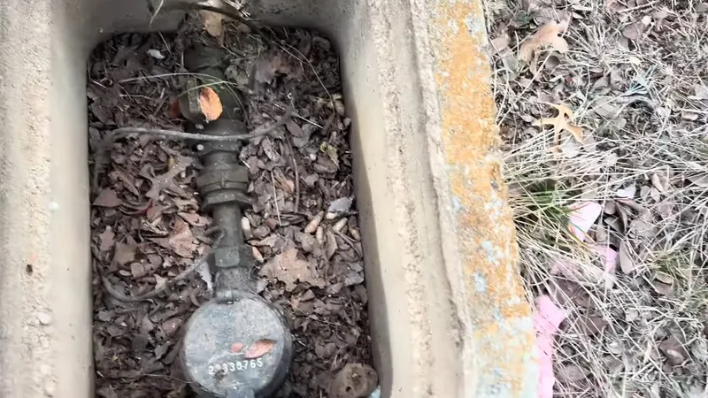 Water meter and brass pipe fittings inside an open concrete box with dead leaves around them